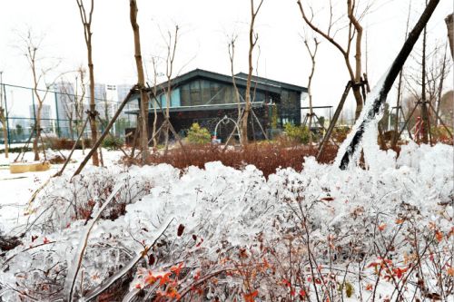 一場雪，體育中心美得不要不要的 但最美的風(fēng)景還是他們(圖3)